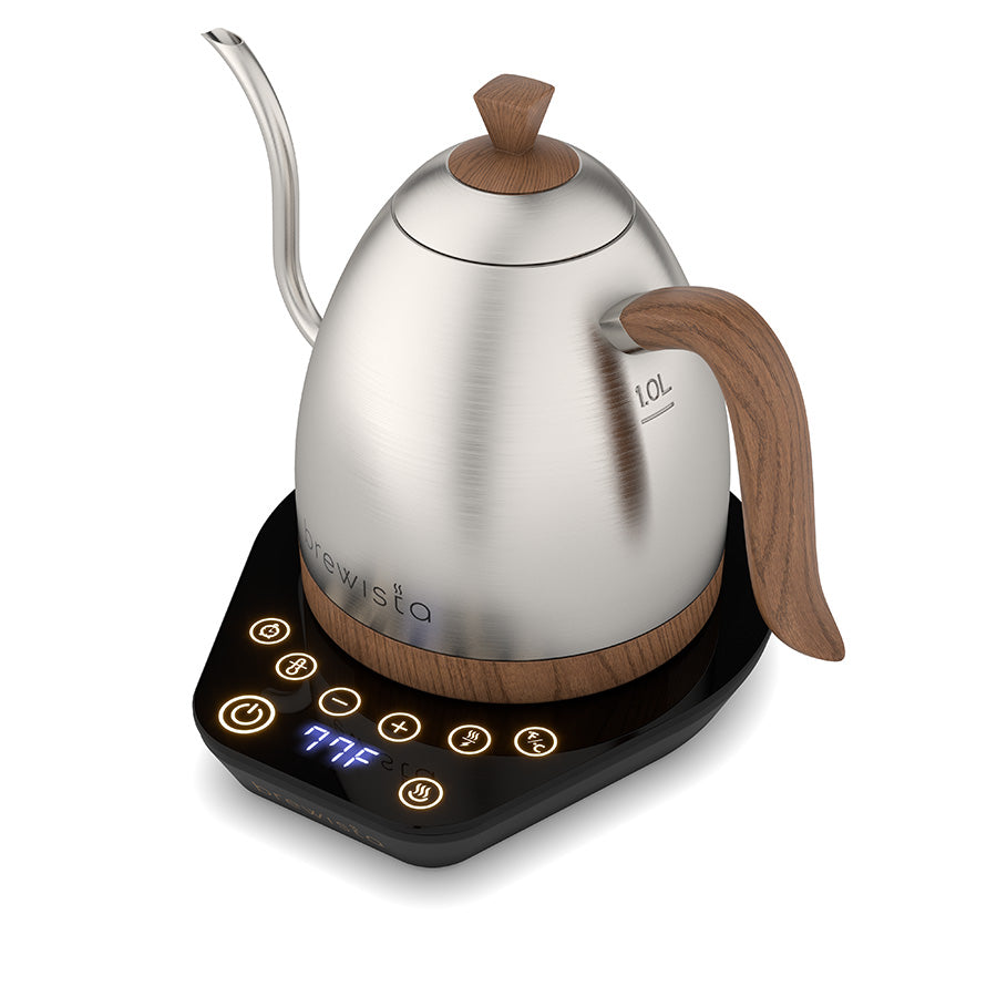 BREWISTA ARTISAN GOOSENECK VARIABLE KETTLE 1L 220V