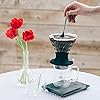 DRIPPER SWITCH HARIO V60 #02 & #03 Glass